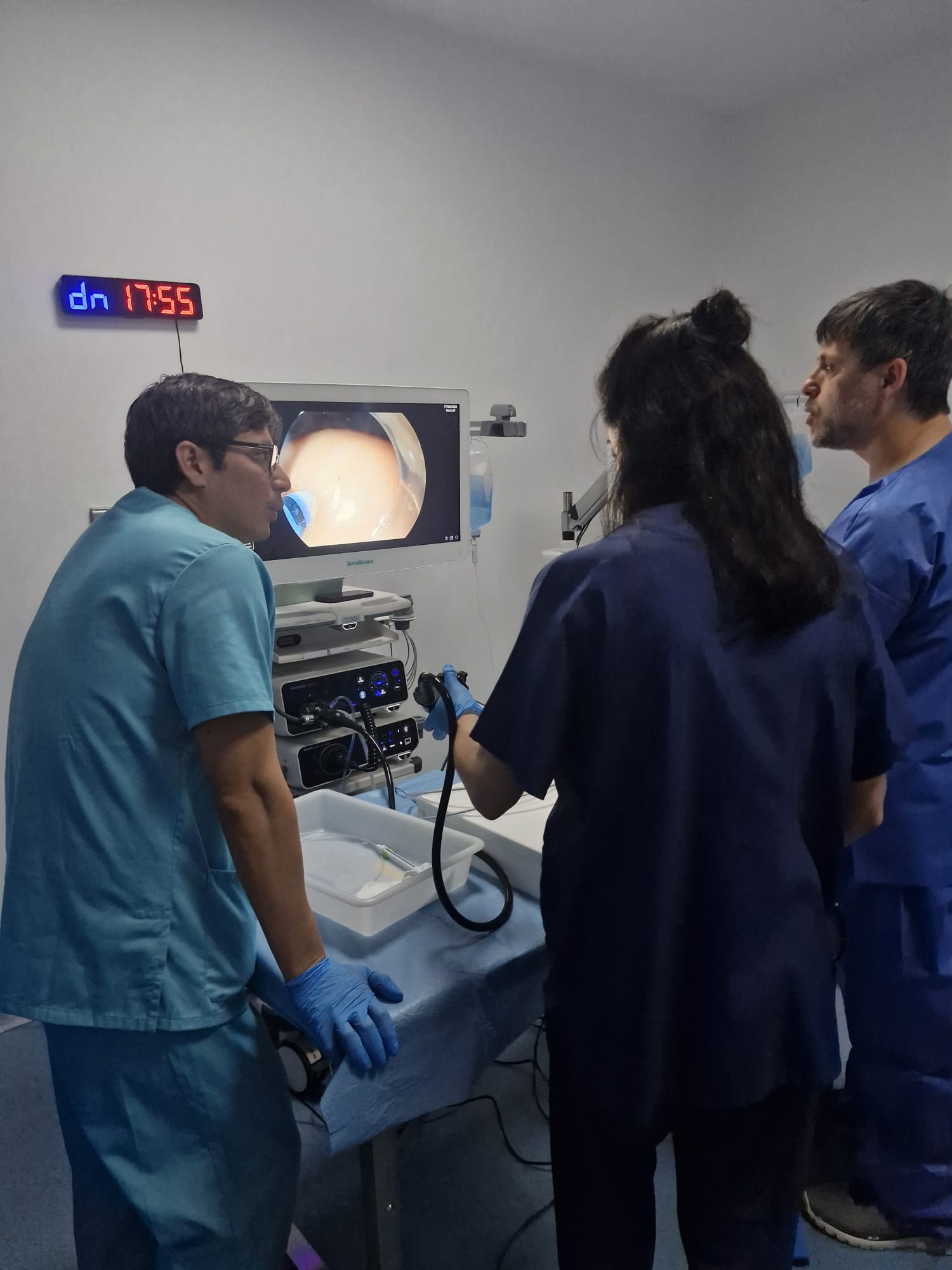 Mentoría individual en endoscopia