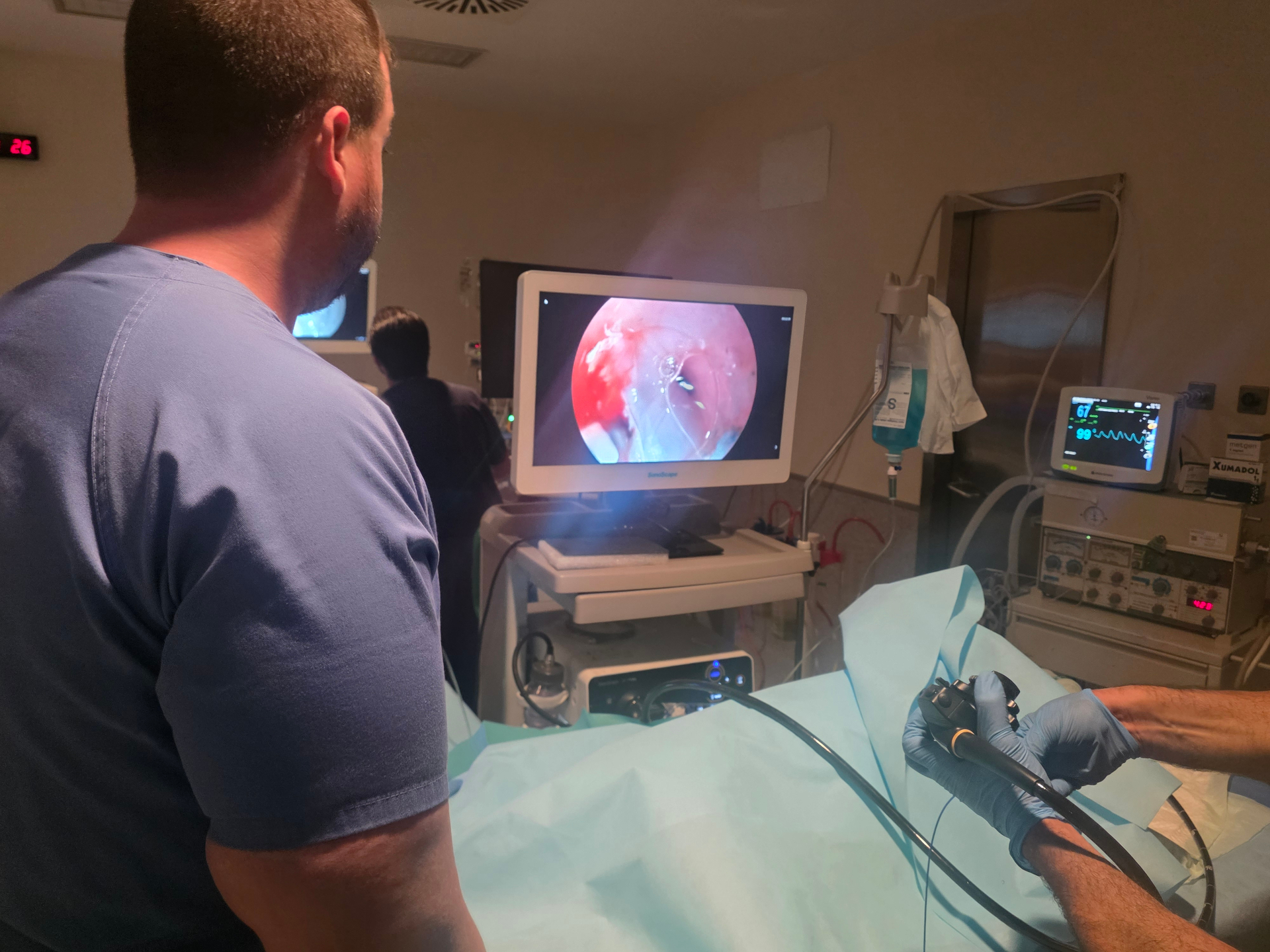 Visión endoscópica intraoperatoria durante el examen en modelo vivo