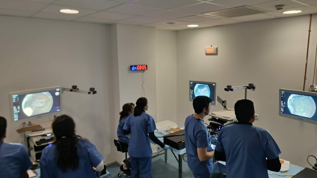Prácticas en simulación