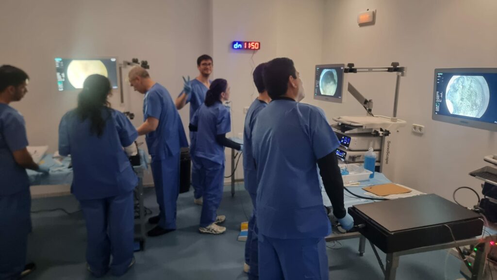 Prácticas en simulación