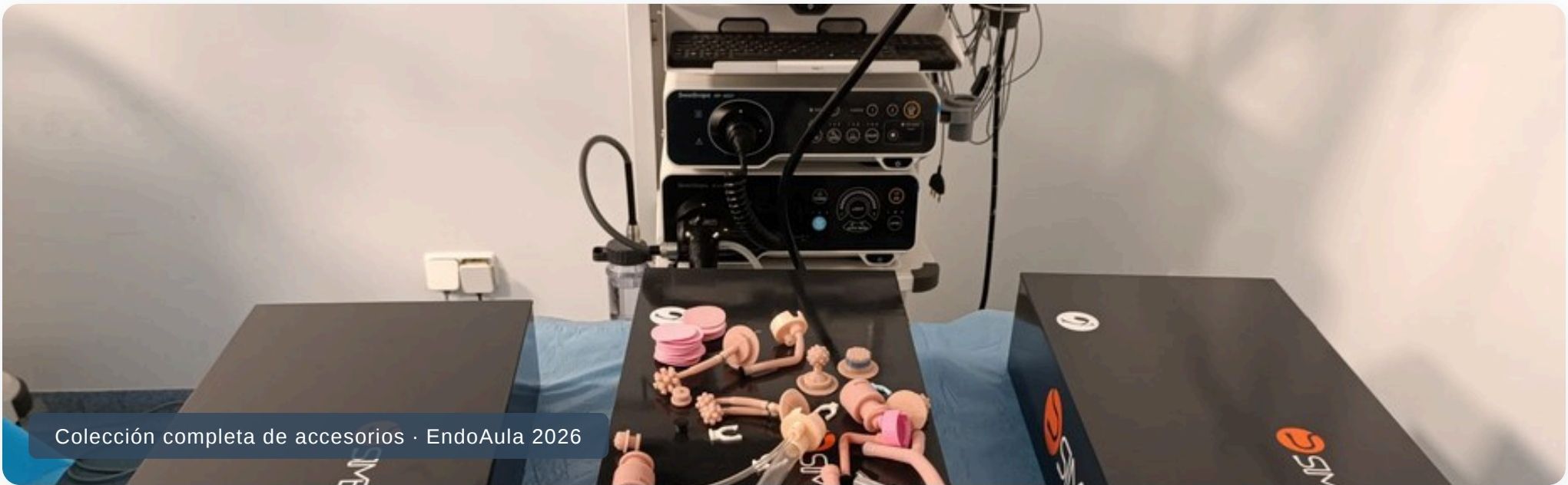 Colección de Lesiones Simuladas